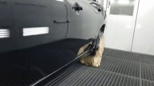 лачим авто лак GLASURIT 924-68