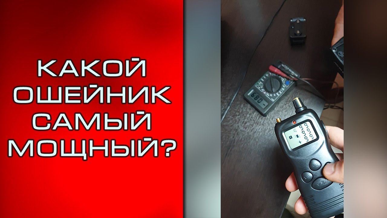 Какой электронный ошейник выбрать? смотреть онлайн