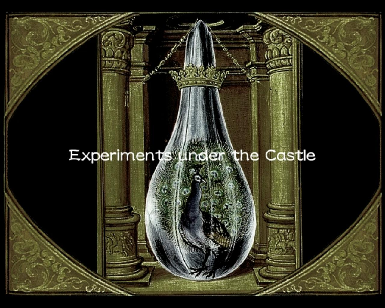 Animamundi: Dark Alchemist - Experiments Under the Castle