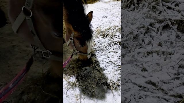 Выходим потусить с Джуником
