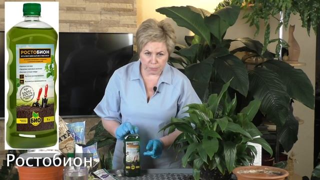 ПЕРЕСАЖИВАЕМ И ЛЕЧИМ КОМНАТНЫЕ ЦВЕТЫ! МОИ СЕКРЕТЫ! смотреть онлайн