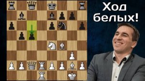 Андрейкин громит в 17 ходов Попова! Шахматы