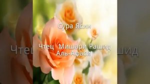 Сура 36-Ясин, читает Мишари Рашид Аль Афаси