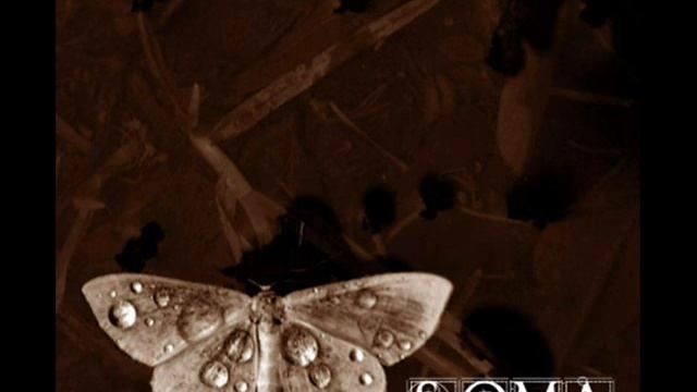 Amanita muscaria-wniosek смотреть онлайн