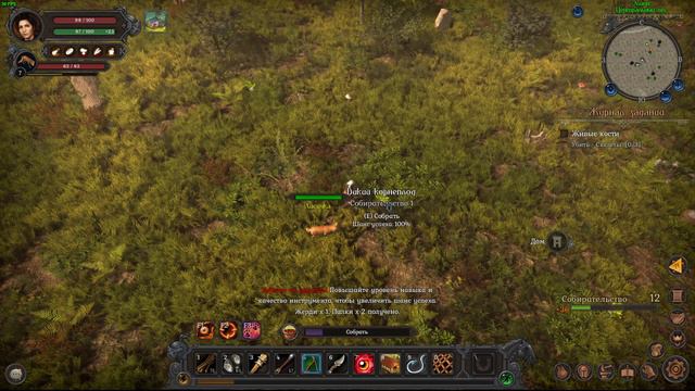 Wild Terra 2 New Lands Ч6 Ну с кабаном мне пока рано бадатся