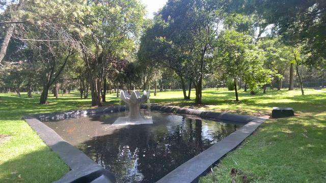 Walking Lotus Flower Fountain In Chapultepec Park Mexico City