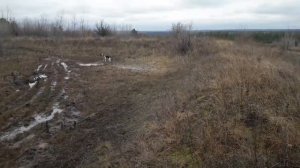 Охота На Зайца С РПГ! Попался Матерый Заяц!