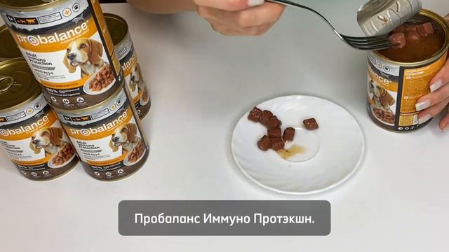 Как улучшить иммунитет вашей собаки с Probalance Immuno Protection смотреть онлайн
