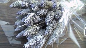 МОИ СУХОЦВЕТЫ!. Заказывайте!.Продаю!!