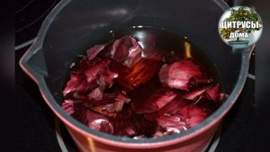 Луковая шелуха.Удобрение и средство от вредителей Супер подкормка для домашних растений