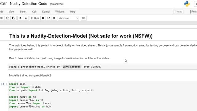Nudity Detection Machine Learning Model (NSFW- Not safe for work)