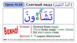 Слитный мадд