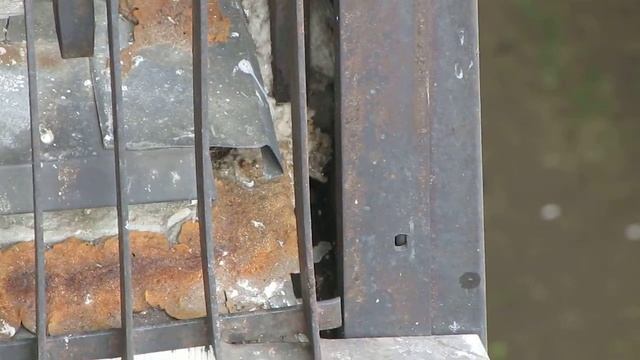 воробьи у гнезда кормить прилетают смотреть онлайн