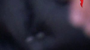 Дорожные войны 01.11.2011 Выпуск 19