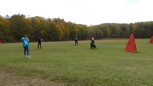 4. ТЕРАЛАЙН ДЖОКЕР, IGP-1, раздел С смотреть онлайн