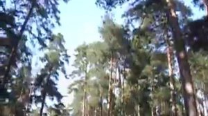 Сомово г. Воронеж