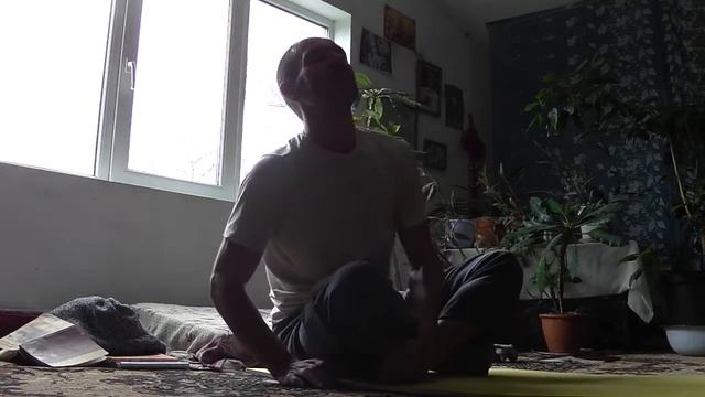 Семинар выходного дня.сатсанг 26,12.17 смотреть онлайн