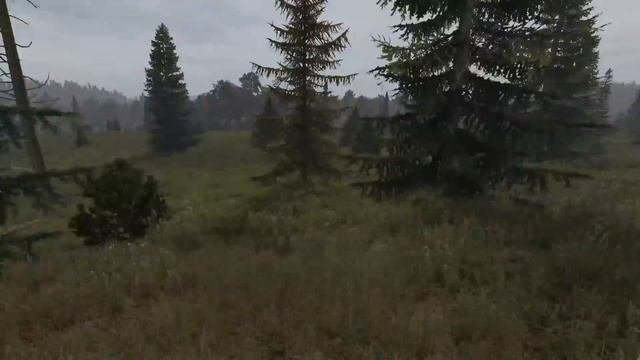 Дневник 