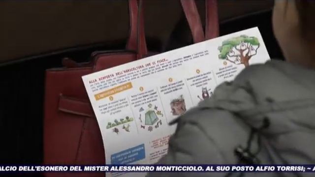 TG SUD 24 01 2023 смотреть онлайн