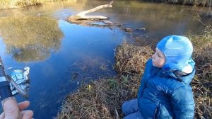 река Малая истра, как бы рыбалка