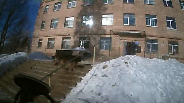 Токсово поликлиника. смотреть онлайн