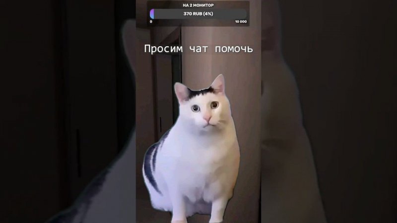 Студенты Phasmophobia #Snerk #phasmophobia #phasmophobiagame #meme #кот #юмор #shorts #funny #cat