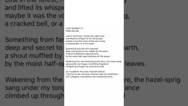 Love Sonnet VI by Pablo Neruda (Poem) смотреть онлайн