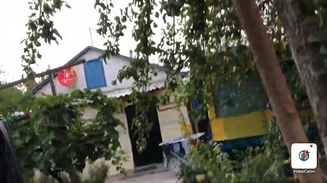 Какие дела вечером что делать с боярышником