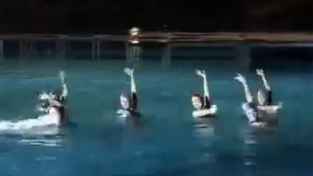 Водный балет, синхронное плавание фламенко смотреть онлайн