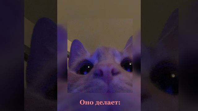 Hayloft II - Mother Mother ( Rus sub) San смотреть онлайн