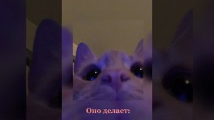 Hayloft II - Mother Mother ( Rus sub) San
