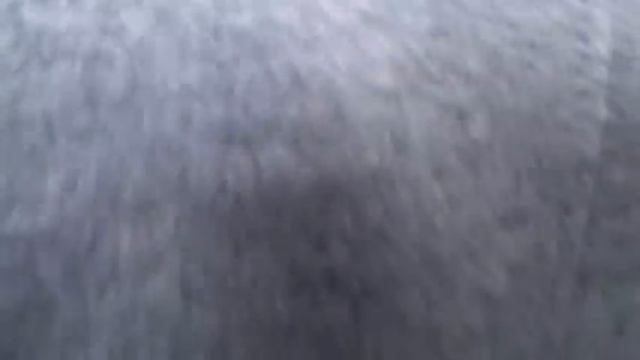 Обзор модельного ряда мотобуксировщиков Балтмоторс