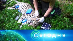 «Сегодня»: 6 сентября 2023 года. 19:00 | Выпуск новостей | Новости НТВ