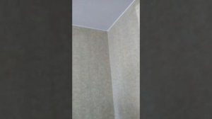простой способ снять старые обои