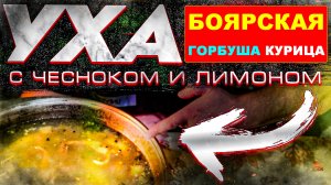 УХА - БОЯРСКАЯ из ГОЛОВ ГОРБУШИ на КУРИНОМ БУЛЬОНЕ.