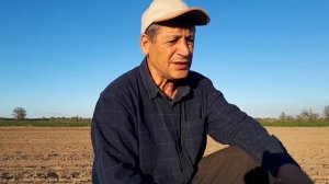 Сорняки на сахарной свекле. Борьба с сорняками