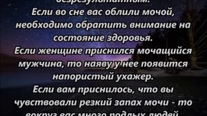 К чему снится моча