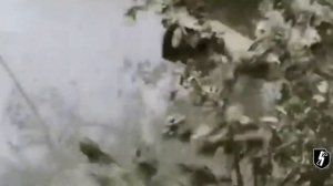 WW2: ''Waffen SS'' (Intense Combat Footage)