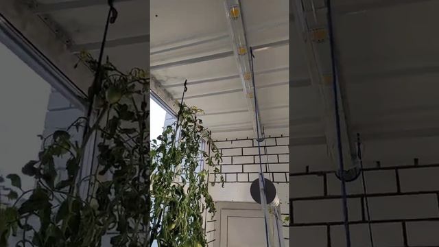 Стоимость искусственного освещения. смотреть онлайн