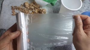 Всхожесть 100%!!! Садим лагенарию на рассаду. Ускоряем всходы!