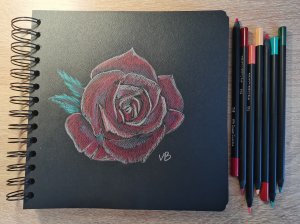 Красная роза цветными карандашами || Учимся Рисовать