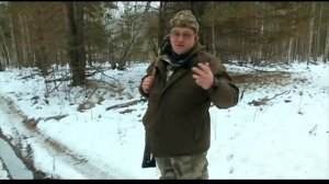 Загонная охота на кабана зимой