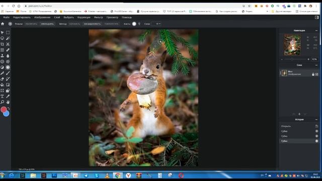 Онлайн фотошоп Pixlr. Инструмент Губка смотреть онлайн