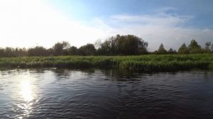 Облавливаю поппер Yo-Zuri 3DS Popper 65F. Сплав по реке. Imakatsu Gekiasa II 105SP