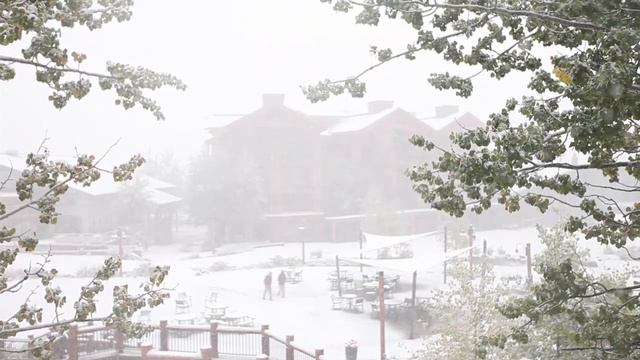 First Snow at Jackson Hole Mountain Resort. смотреть онлайн