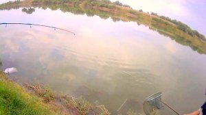 Рыбалка { Река Кура - Июль 2017 год } Balıq ovu { Samux rayonu, Kür çayı - iyul 2017 il }