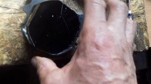 Содержимое пищалки заднего хода.