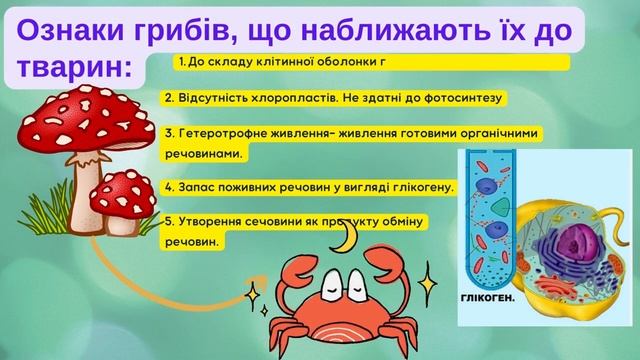 Гриби Особливості живлення Життєдіяльність грибів смотреть онлайн
