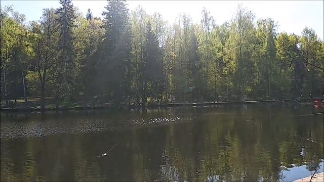 Спиннинг, донка, бомбарда. Рыбалка на Нижнем. Клёвое место Лосиный остров. смотреть онлайн