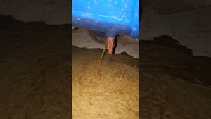 Компрессор.( Вот что бывает,если не сливать конденсат каждый день